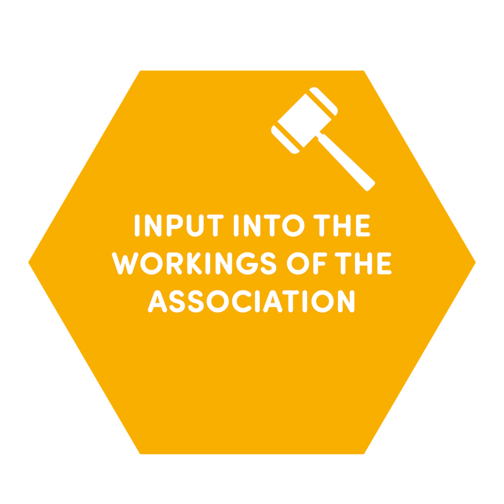 input-into-the-workings-of-the-association